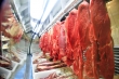 Carne 
