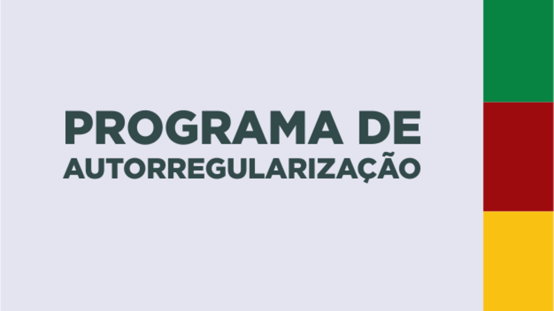 20210311153937programa-autorregularizacao.png
