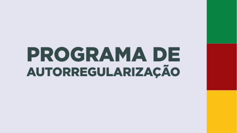 20250613165427programa-autorregularizacao.png